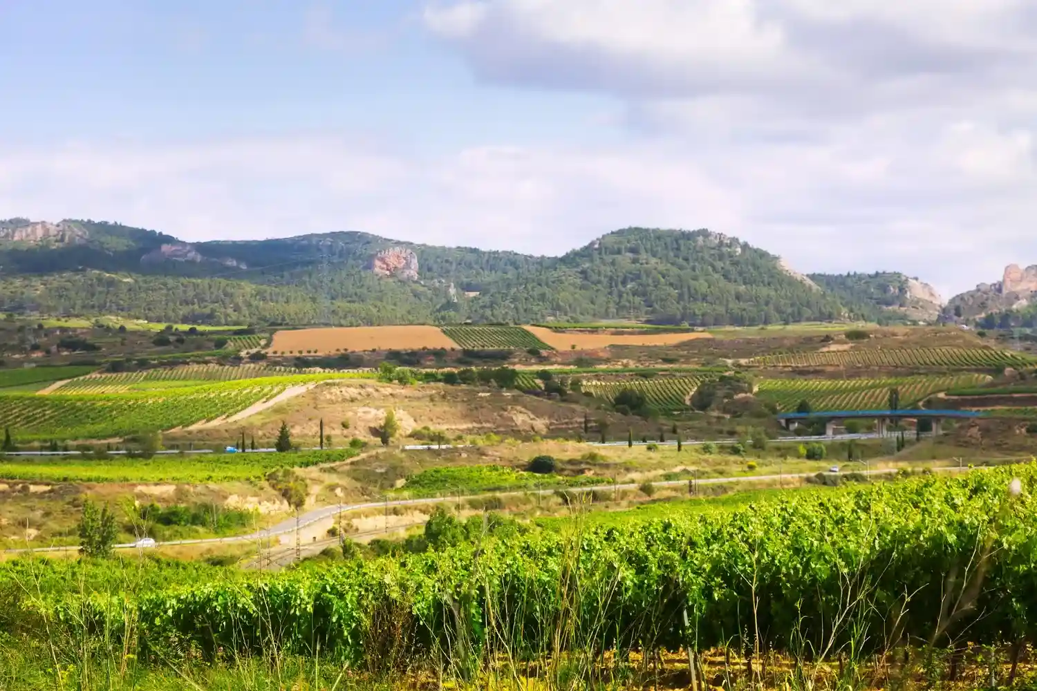 La Rioja