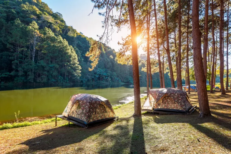 Top 5 Portales de Campings en España 2026